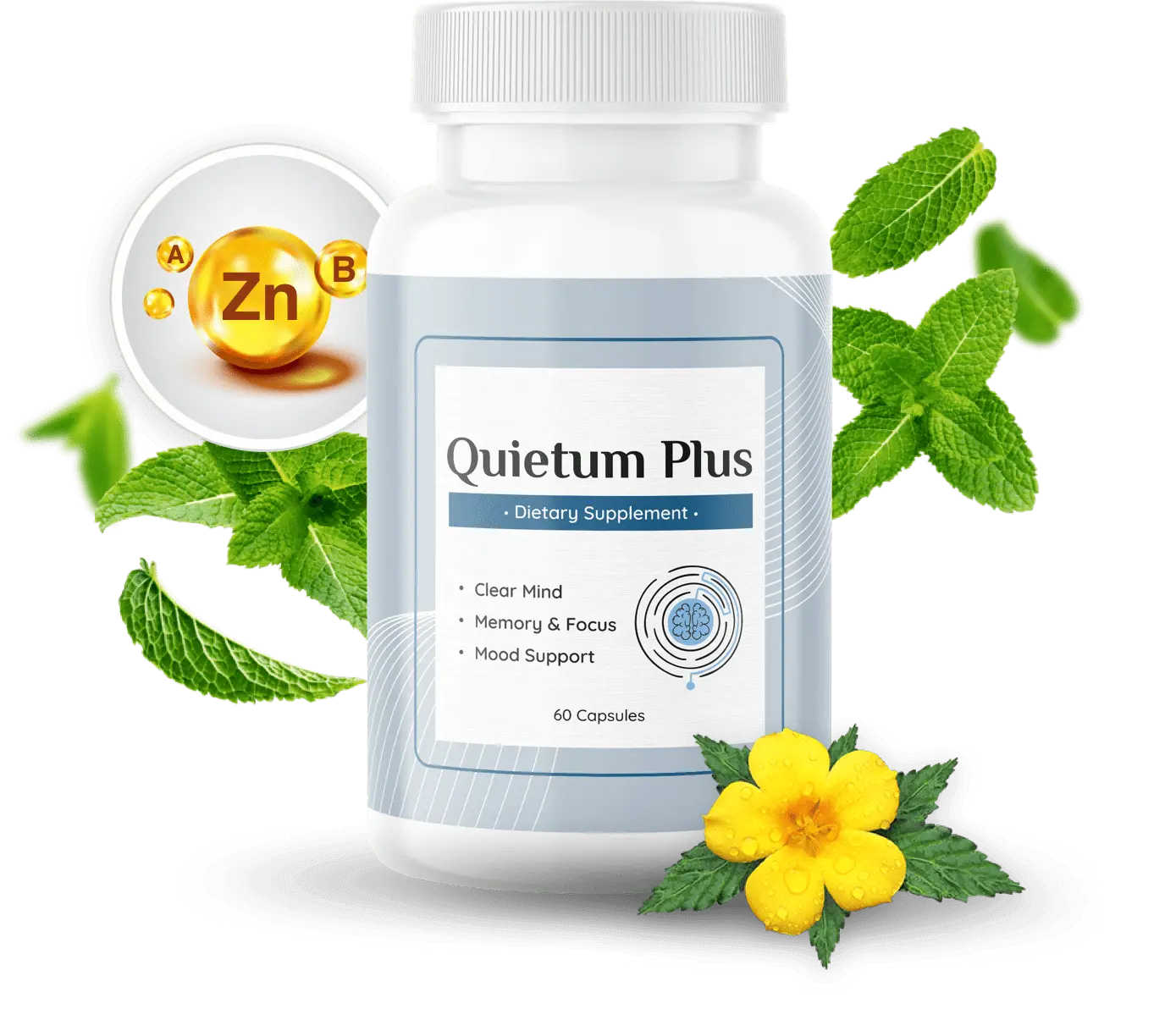 Quietum Plus Bottle